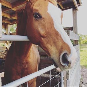 Meet your Posher, Kya